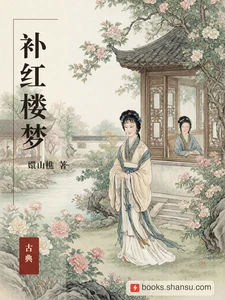 补红楼梦